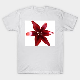 Red Tiger Lilly Flower T-Shirt